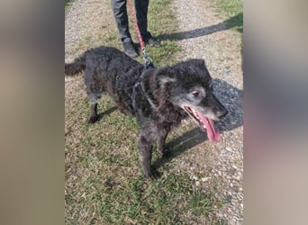 OldBoy ♥Billy♥ Senior sucht Treue+Liebe