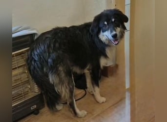 LeeLoo braucht ganz viel Liebe