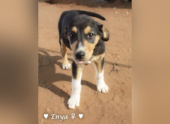 Jackie/Enya sucht ihre Familie ab Oktober