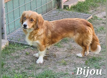 Hübsche Bijou freut sich auf Deinen Besuch