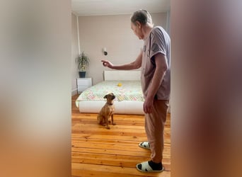 Tata ❤️ Energie, Lebensfreude & ein großes Herz suchen ein Zuhause
