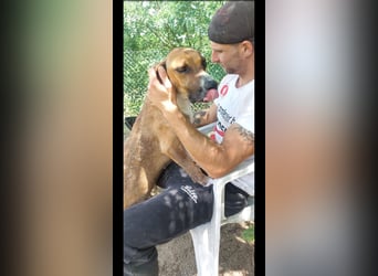 Tobias ist bereit für sein Abenteuer