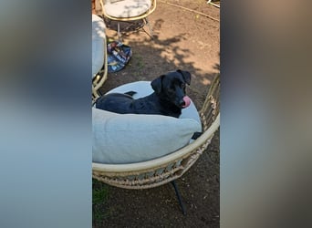 Helmut sucht seine Menschen