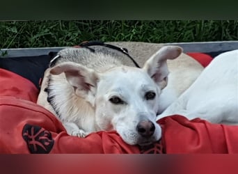LILI und LOLI, Schwesternpaar in Süddeutschland