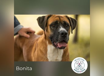 Bonita: Deine neue Wegbegleiterin?