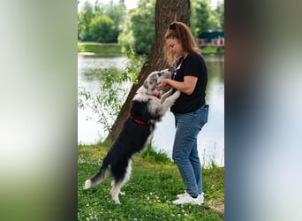 Verschmuste Lichi sucht ihre Menschen