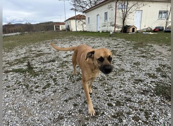 Boomer – Und es hat Boom gemacht!