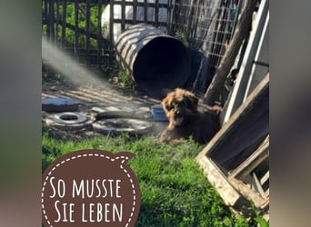 Zara ein dankbarer Schatz
