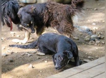 Verspielte FIONA ist neugierig auf die Welt