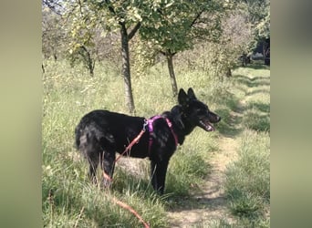 Tina elegant und süß zur gleich