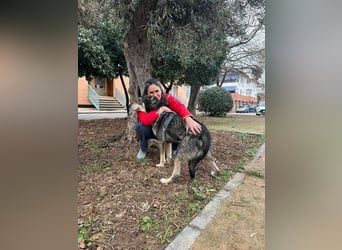 LOBITO