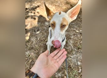 Barbi, sucht dringend einen neuen Platz