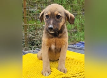 Fellschnute ♥Fina♥ sucht ihr großes Glück