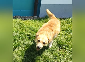 Zobie möchte endlich ankommen