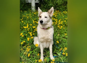 Hallo, ich bin Bella!