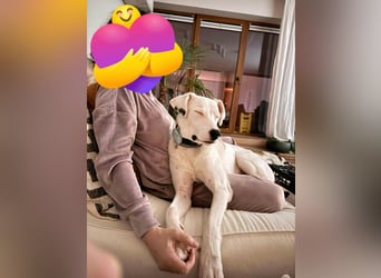 Schüchterner Lucas sucht einfühlsame Familie