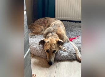 Balou wünscht sich aktive souveräne Menschen