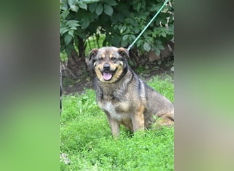 Flora SI - Ältere Lady möchte endlich nach Hause!