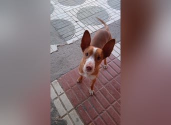 BILLY