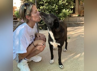 Nola sucht ein Zuhause