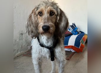 Elly - HAT  INTERESSENTEN- vorsictige Prinzessin sucht ihre erfahrenen Menschen mit Geduld und Liebe