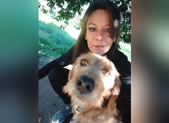 Rocky - endlich von der Kette befreit, möchte er jetzt bitte Familienhund werden