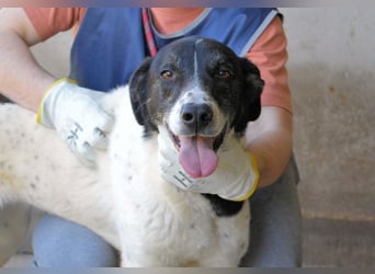 Lorianne - Diplomierte Zuhörerin sucht Sofa & Sonne