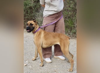 Nana, neugierig, verspielt, freundlich