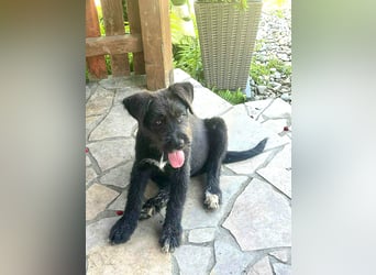 Eléa – Kleine Entdeckerin mit großem Herz sucht Zuhause