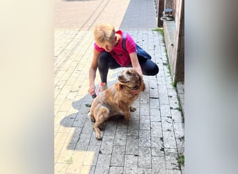 Toller Philipp sucht seine Familie!