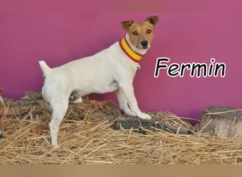 Haben Sie mit Fermin großes vor?
