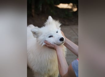 Romy SR – Kleine Schneeflocke mit großem Herzen