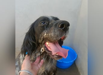 Zeus