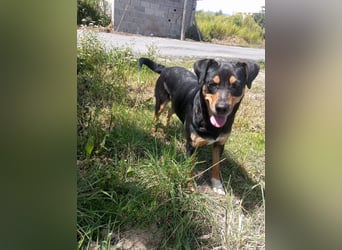 Emy: „Jetzt muß es um mich gehen!“