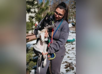 Die kleine Giselle sucht ein Zuhause