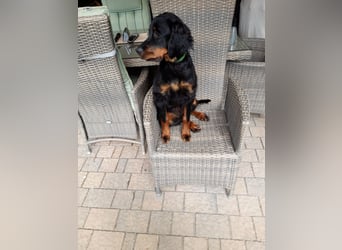 Die liebenswerte anschmiegsame Sheila sucht Lebenspartner