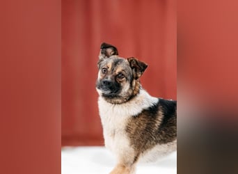 Zärtliche Luna sucht ihre Familie