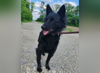 Schmusige Kaja ❤️ sucht Liebe, Sicherheit
