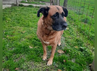 Zora sucht ein Zuhause