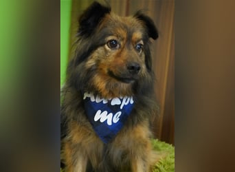 Buddy-SR, möchte dein Freund werden