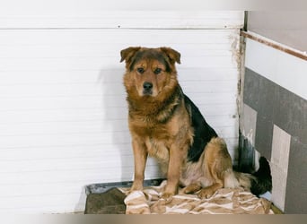Milo – Harte Schale, weicher Kern