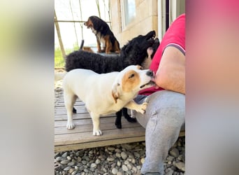 Niedliche GABRIELLA liebt Kuscheln und ist neugierig auf die Welt