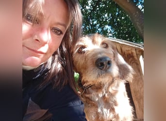 Rocky - endlich von der Kette befreit, möchte er jetzt bitte Familienhund werden