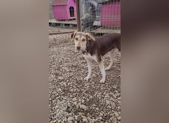 Aika sucht Schulter zum anlehnen