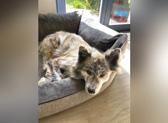 Yuma - ist unkompliziert