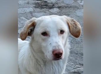 Rocky – Besser geht’s nicht!