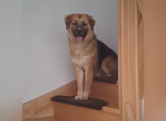 Ludwig - wo darf ich Zuhause sein?
