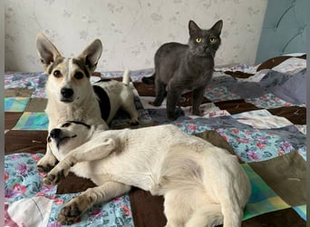 Mara und Max wünschen sich ein neues Zuhause