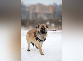 Hübsche HOLLI möchte eine Familie haben