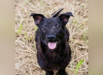 Sally – kleine Frohnatur sucht großes Herz ❤️